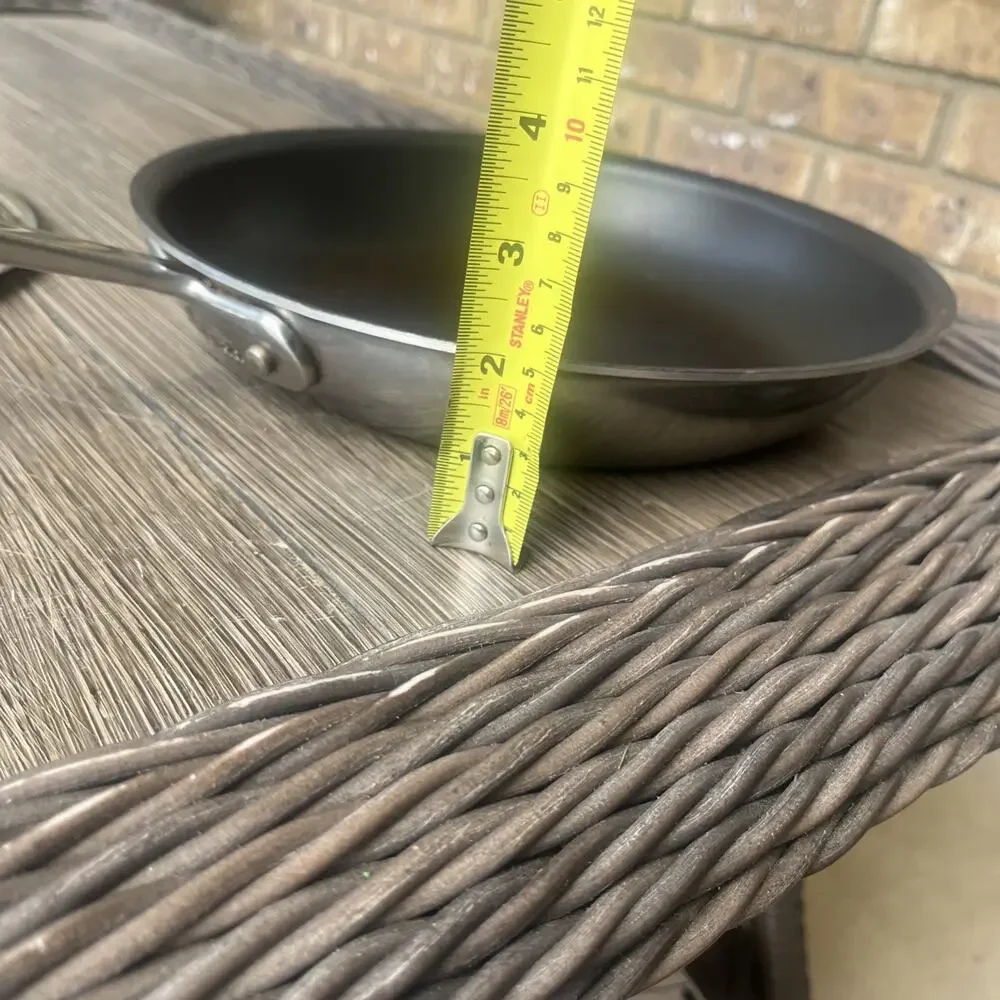 All-Clad Stainless Steel 10